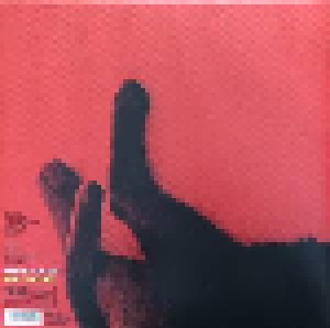 Ryan Adams: Big Colors (LP + 7") - Bild 4