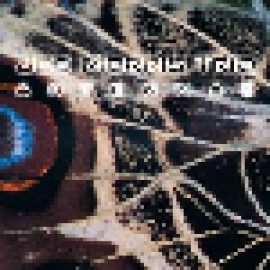 Cover - Joe Morris Trio: Antennae