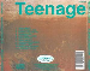Teenage Fanclub: A Catholic Education (CD) - Bild 2