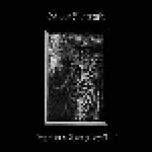 Sopor Aeternus & The Ensemble Of Shadows: Es Reiten Die Toten So Schnell... (CD) - Bild 1