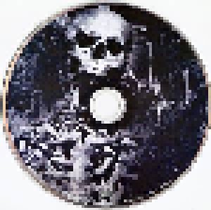 Omnium Gatherum: Origin (CD) - Bild 9