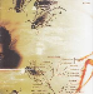 Papa Roach: Infest (CD) - Bild 3