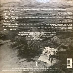 Robert Palmer: Clues (LP) - Bild 2