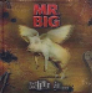 Mr. Big: What If... (CD + DVD) - Bild 1