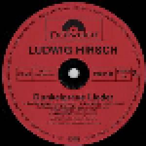 Ludwig Hirsch: Dunkelgraue Lieder (LP) - Bild 4