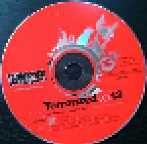 Cover - Age Of Ruin: Terrorizer 091 - Terrorized vol. 13