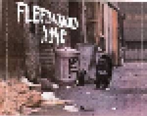 Fleetwood Mac: Peter Green's Fleetwood Mac (CD) - Bild 8
