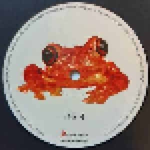 Silverchair: Frogstomp (2-LP) - Bild 4