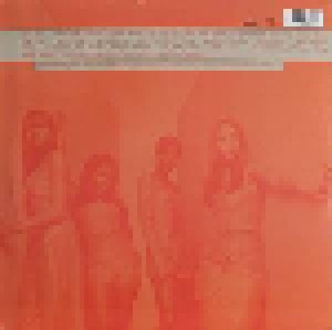 Destiny's Child: The Writing's On The Wall (2-LP) - Bild 2