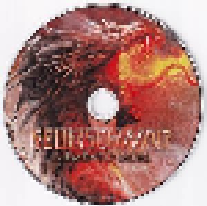 Feuerschwanz: Memento Mori (2-CD) - Bild 3