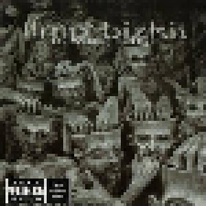 Limp Bizkit: New Old Songs (CD) - Bild 1