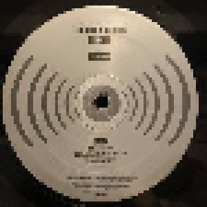 Lucinda Williams: Blessed (2-LP + 2-CD) - Bild 3
