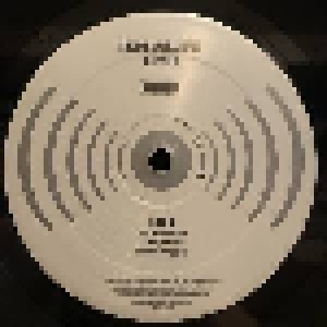 Lucinda Williams: Blessed (2-LP + 2-CD) - Bild 4