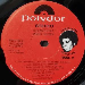 James Brown: Sex Machine (2-LP) - Bild 7