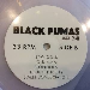 Black Pumas: Black Pumas (LP) - Bild 4