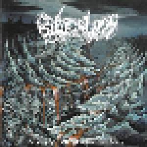 Cover - Bitter Loss: Oblivion In Ceremonial Void