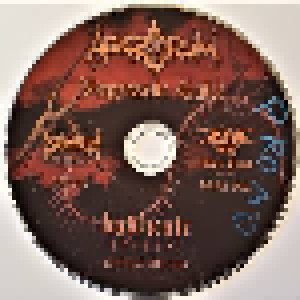 Abigorum: Vergessene Stille (CD) - Bild 1