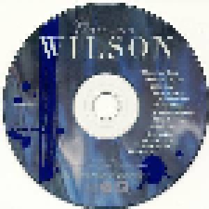 Brian Wilson: Brian Wilson (Promo-CD) - Bild 3