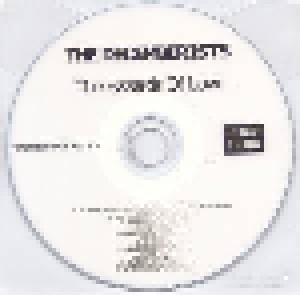 The Decemberists: The Hazards Of Love (Promo-CD-R) - Bild 1