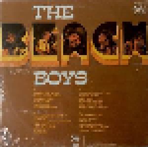 The Beach Boys: 24 Original Hits (2-LP) - Bild 2