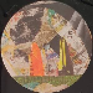 Animal Collective: Time Skiffs (2-LP) - Bild 6
