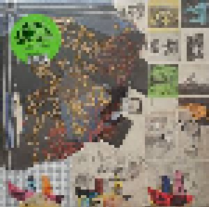 Animal Collective: Time Skiffs (2-LP) - Bild 9