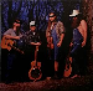 Hayseed Dixie: A Hillbilly Tribute To Ac/Dc (CD) - Bild 6