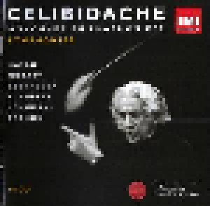 Sergiu Celibidache – Symphonies (14-CD) - Bild 1