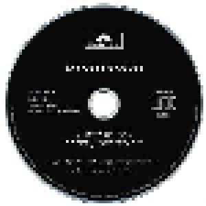 Lupeelou: Pinocchio (Single-CD) - Bild 3