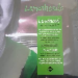 The Lemonheads: It's A Shame About Ray (2-LP) - Bild 3