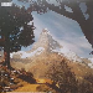 Goldfrapp: Felt Mountain (LP) - Bild 2