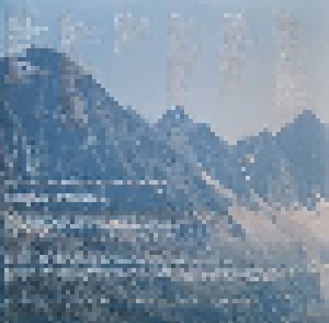 Goldfrapp: Felt Mountain (LP) - Bild 6