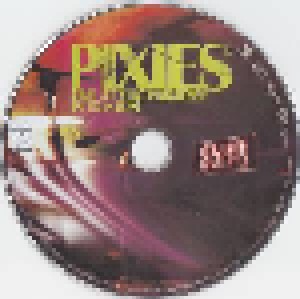 Pixies: Live At The Paradise In Boston (DVD) - Bild 7