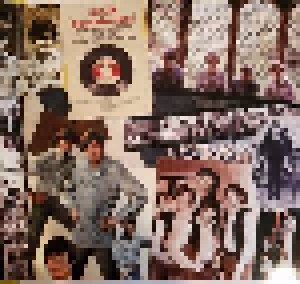 The Monkees: More Of The Monkees (2-LP) - Bild 4