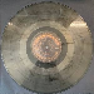 Meshuggah: Immutable (2-LP) - Bild 3