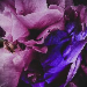 Ruin Of Romantics: Velvet Dawn (CD) - Bild 1