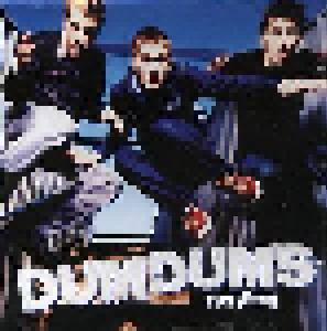 Dum Dums: Everything - Cover