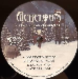 Achelous: The Icewind Chronicles (LP) - Bild 3