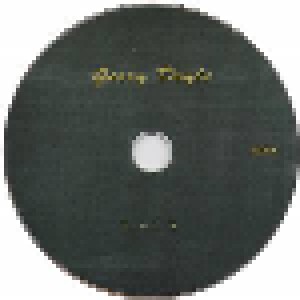 Gerry Doyle: Pure (CD) - Bild 3