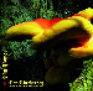 Der Blutharsch And The Infinite Church Of The Leading Hand + Skullflower: Angel Of Darkness (CD) - Bild 1