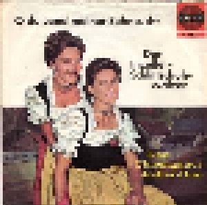 Cover - Chiemgauer Jodler-Duo, Das: O Du Land Meiner Sehnsucht