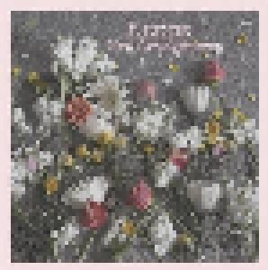 Korine: New Arrangements (LP) - Bild 1