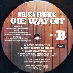 Melissa Etheridge: One Way Out (LP) - Bild 4
