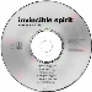 The Invincible Spirit: Can Sex Be Sin (CD) - Bild 4