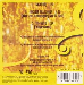 Symbol: Gold (Single-CD) - Bild 2