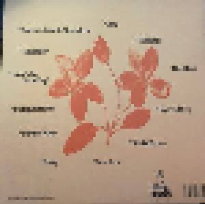 Beabadoobee: Fake It Flowers (LP) - Bild 2