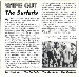 The Surfaris: Wipe Out / The Surfaris Play (CD) - Bild 9
