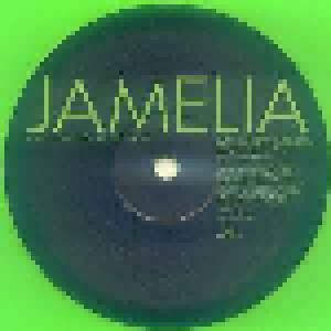 Jamelia: Something About You (12") - Bild 3