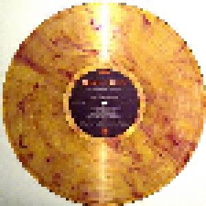 Simple Minds: New Gold Dream (81-82-83-84) (LP) - Bild 5