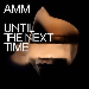 Cover - AMM: Until The Next Time